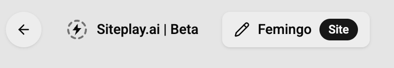 Enter site prompt in planning workflow